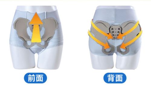 整体ショーツDRYは「尾骨に向かって締める」特許技術で腰をサポート
